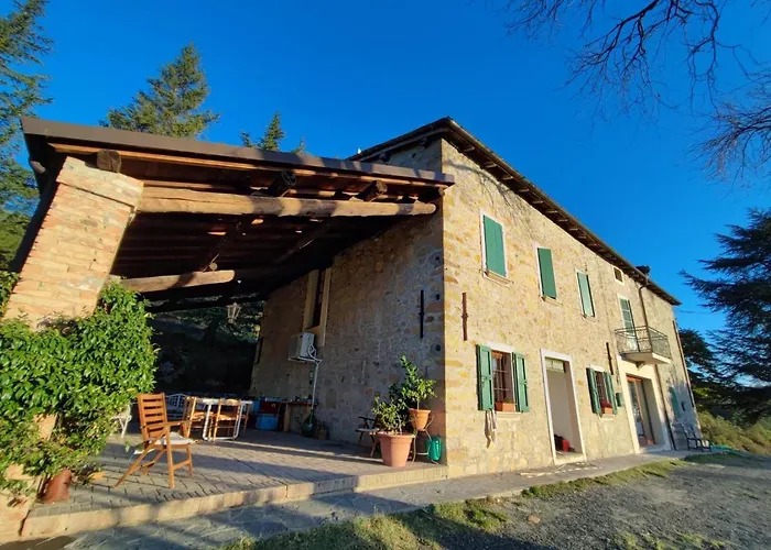 B&B Demetra Solignano photo