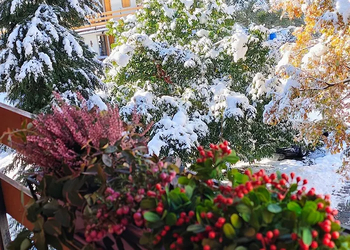 fotos do Casa Con Vista Apartamento Corniolo 