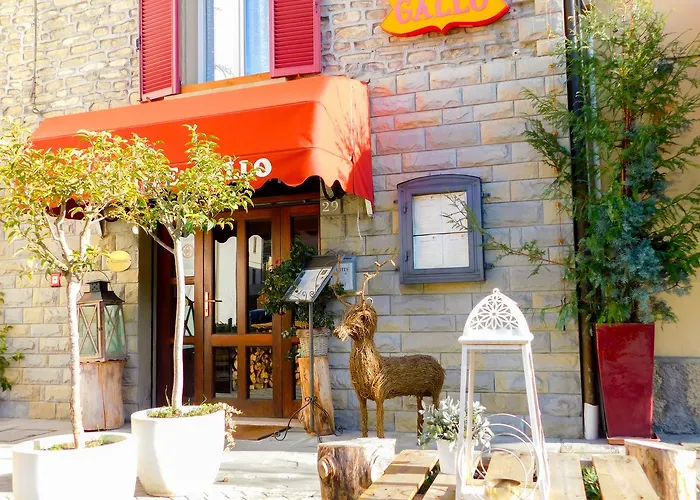 Albergo Ristorante Gallo Castel del Rio photo